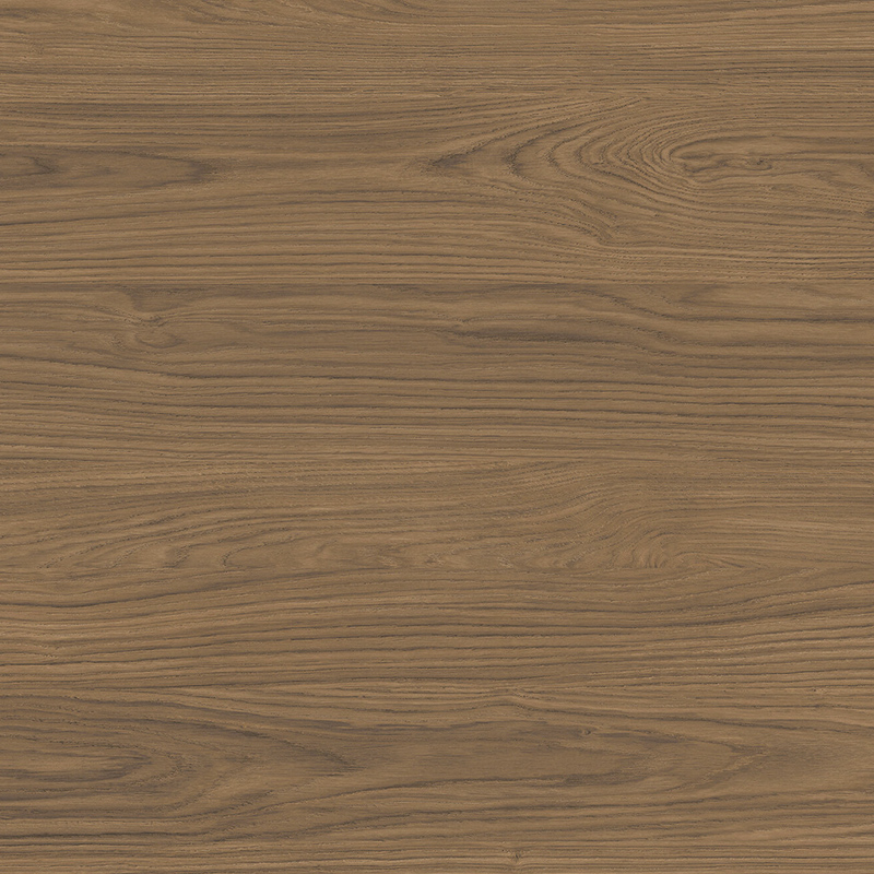 Dąb Cassela Brązowy